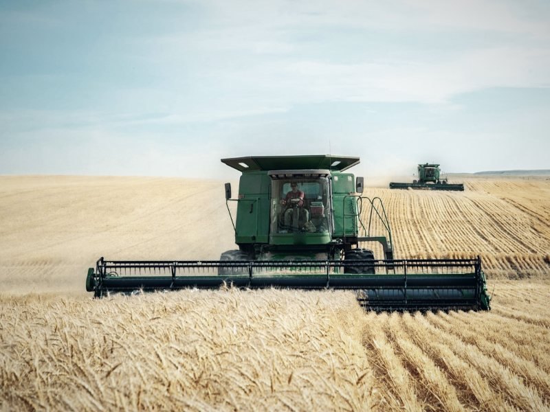 Agriculture